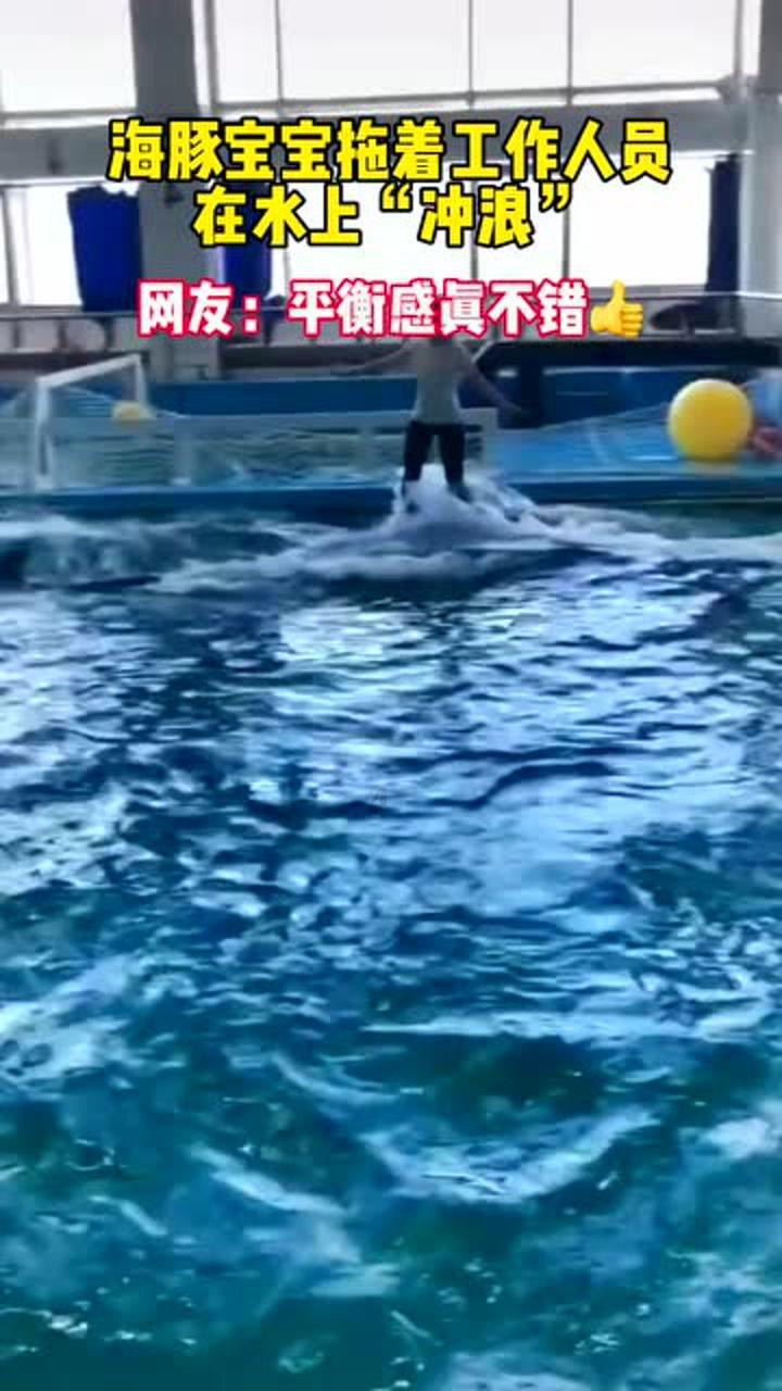智慧问答网页——火龙果花可以吃吗网